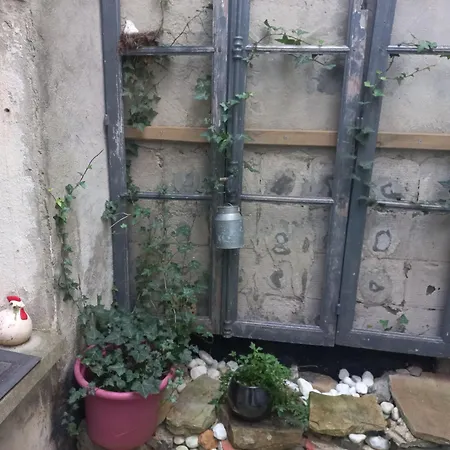 דירה Le Patio אולורן-סנט-מארי